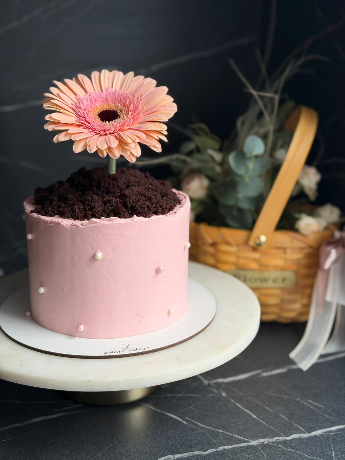 Narozeninový dort 4